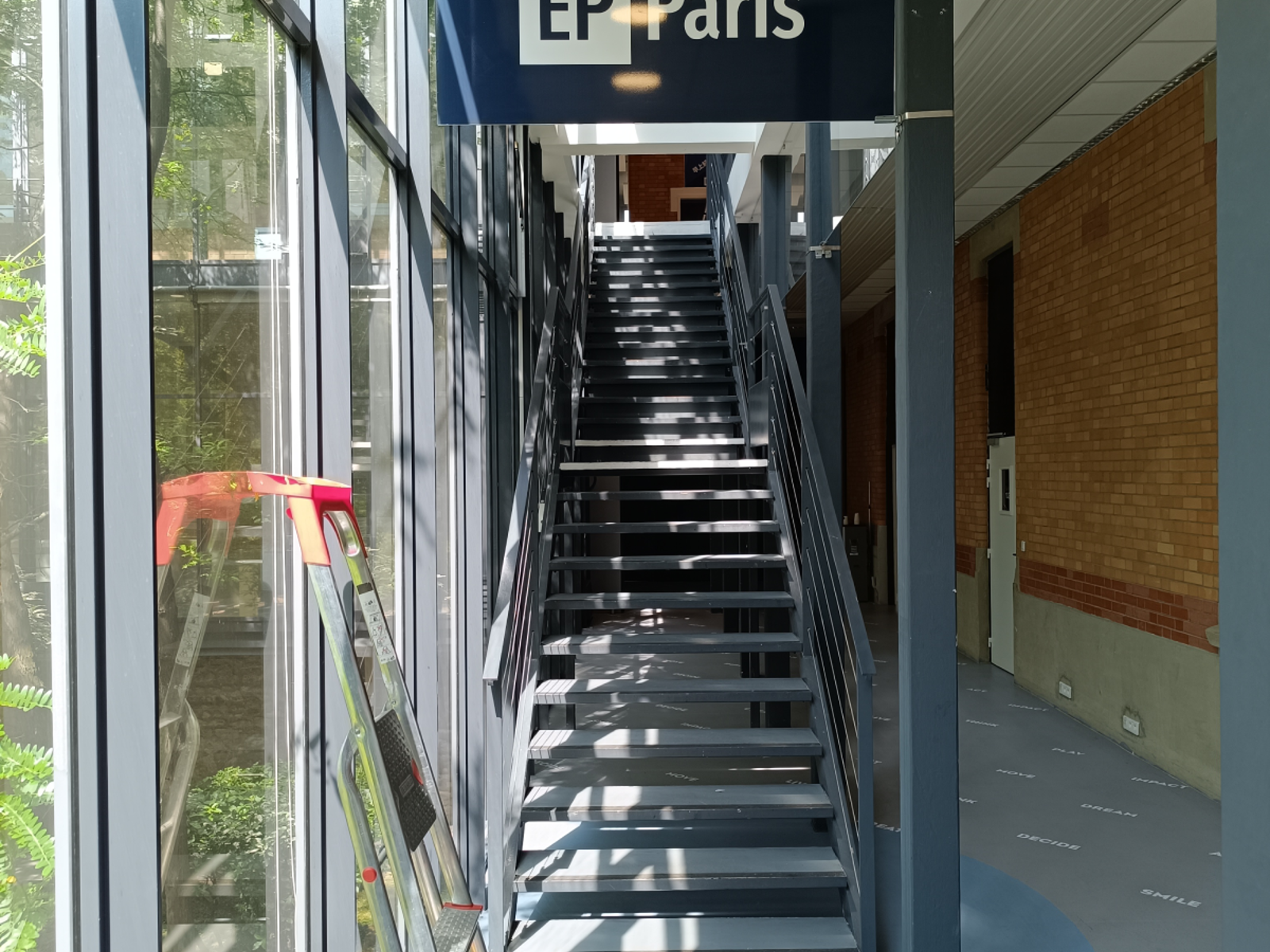 Çalışma alanları